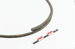 Foto von Bronzehalsring (NHMW-PRAE-023867)